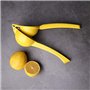 PIQIUQIU Presse-Citron - Presse-Agrumes Manuel en métal (Couleur aléatoire)