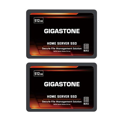 GIGASTONE Serveur SSD 512Go (Lot de 2) NAS SSD Cache 24h/24