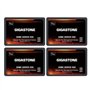 Gigastone Serveur SSD 1To (Lot de 4) NAS SSD Cache 24h/24