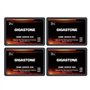 Gigastone Serveur SSD 2To (Lot de 4) NAS SSD Cache 24h/24