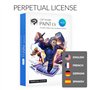 CLIP STUDIO PAINT EX - Version 2 | Perpetual License | for Microsoft Windows and macOS