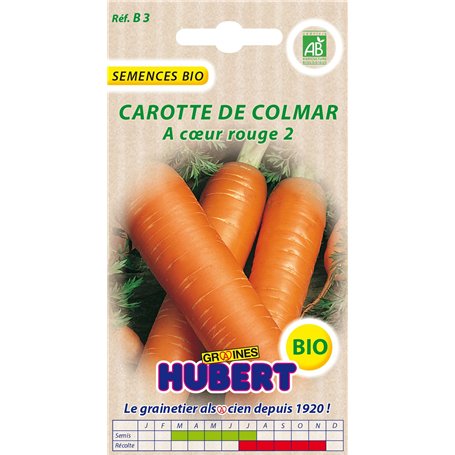 Graines BIO de Carotte de Colmar - 4 grammes