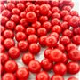 CyberGun Consommable Airsoft/Verseur 1000 Billes Rouges 6mm-0,20gr. / Haute Qualité