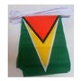 AZ FLAG - Guirlande Drapeau Guyana - 12 Mètres Avec 20 Drapeaux Guyanien De 45x30 cm - Fanions 100% Polyester - 200g