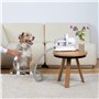 H.Koenig Aspirateur Poil de Chiens PAW400, Tondeuse Chiens Chats, Toilettage, Aspire, Tond et Brosse, 9 Accessoires, Cuve amovib