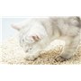 Lot de 4x litières végétales pour chat EZIclean Premium Cat Litter