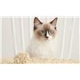 Lot de 8x litières végétales pour chat EZIclean Premium Cat Litter