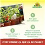 Neudorff Azet Engrais tomates – Engrais 100% naturel pour tomates aromatiques et légumes en jardinière, pot et jardin, 250 ml