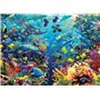 Ravensburger - Puzzle Adulte - Puzzle 9000 pièces - Paradis sous-marin - Adultes et enfants à partir de 14 ans - Puzzle de quali