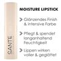 Sante Naturkosmetik Moisture Lipstick 06 Rose Blush Rouge à lèvres nourrissant avec effet hyaluronique, plump et Sepilift Soin d