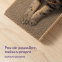 Griffoir pour Chat Grand 68 cm - Griffoir pour Le Soin des Griffes - Jusqu'à 2 Ans de Plaisir - Montage Facile - Protection pour