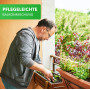 Le Paradis des Abeilles Graines – Mélange pour bacs de balcon (mélange annuel) poids: 10 g – suffisant pour 5 jardinières d’une