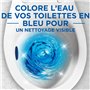Canard WC Canard bloc wc eau bleue 5en1 x2 - La boîte de 2 blocs