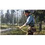 Red Dead Redemption 2 [PlayStation 4]