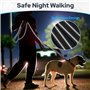 Euqvunn Laisse Chien 2m avec Double poignées rembourrées | Coutures réfléchissantes | Corde en Nylon pour Grands et Moyens Chien