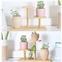QUMENEY Support de plante en bambou intérieur, Mini support de plante succulente en bois de table à 3 niveaux, support d'afficha