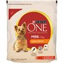 Purina One Mini