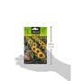 Graines aromatiques de Batlle - Tournesol (Seeds - 30cm), Blanche