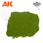 AK WARGAME TERRAINS AK1217 Plague Ground (100ml)