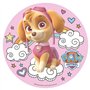 DISQUE AZYME 20CM SKYE PAW PATROL