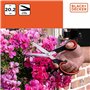BLACK+DECKER Ciseaux à Fleurs - Cisaille de Jardin Polyvalents - Sécateur avec Lame en Acier - Poignée en Plastique - Coupe Fleu
