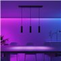 CALEX Suspension Intelligente - Smart GU10-3 Lumières - Noir Mat - Aluminium - Spots Orientables - Installation Facile
