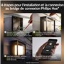 Philips Hue White & Color Applique murale Extérieure ECONIC en aluminium, Noir, fonctionne avec Alexa, Google Assistant et Apple