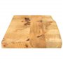 vidaXL Dessus de Table 80x20x2,5 cm Bord Vivant Bois Massif manguier, Dessus de Table en Bois, Dessus de Table d'appoint, Dessus
