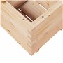 vidaXL Jardinière 50x50x49,5 cm Bois de pin Massif, jardinière d'extérieur, bac à Fleurs, boîte à Plantes, jardinière de terrass