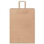 vidaXL Sacs en Papier Kraft 50 pcs avec poignées Marron 32x17x44 cm