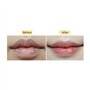 Frudia. Baume à Levres Blueberry Honey Lip Balm 10ml