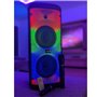 MOOVING LIGHT & SOUND - Enceinte USB Bluetooth Autonome sur Batterie 600W Electro-Sound - 2 Micros Karaoke - Pack Lumière sur Pi