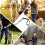 Laisse Courte pour Chien, Corde de Traction en Cuir Rétractable pour Chien avec Ressort en Acier Inoxydable pour Petits, Moyens 