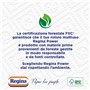 Regina Power Papier multi-usages, 1 rouleau de 250 feuilles à 2 voiles, idéal pour le nettoyage de chaque surface, emballage rec