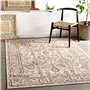 Livabliss Wicklow Tapis Vintage - Tapis de Salon