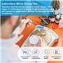 DTYGUIXE 12PCS Pièces Spatule de Laboratoire Cuillère Micro Cuillère de Laboratoire Micro Spatule en Acier Inoxydable 304 avec U