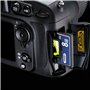 Nouvelle Carte Mémoire Compact Flash CF Haute Vitesse 200x 8GB 30MB/s pour Canon EOS 20D 10D 30D EOS 20Da EOS 300D EOS 350D EOS