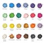 Poudre De Mica - Pigment RéSine éPoxy 24 Couleurs*10g Pigment de Qualité Cosmétique Naturel、Colorant De Savon En Poudre MéTalliq