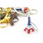 AKER Lot de 50 porte-clés Tour Eiffel Pairs souvenir couleur drapeau français 4,5 x 2 cm cadeaux