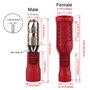 Heschen Lot de 100 connecteurs à sertir mâle et femelle à déconnexion rapide en vinyle isolé 0,5–1,5 mm² (22–16 AWG) Rouge