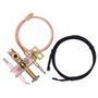 Earth Star Veilleuse de Brûleur à Gaz Universelle avec Fil de Piezo de 900 mm et Fil Thermocouple M9 x 1
