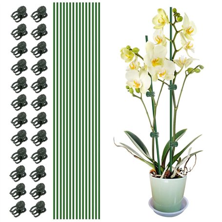 SHUOHONG 20 Pièces Tuteur pour Plante Tuteur Tomate