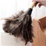 Nizirioo Plumeau d'autruche 34 cm Plumeau avec Manche en Bois pour Chambre Salon Bibliothèque