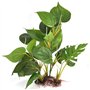 Jzhen Plante d'aquarium Artificielle de 20 cm, DéCoration Accueil Doux Plantes