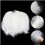Plumes D'Oie Naturelles