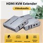 Swallows Extender HDMI KVM USB 60M avec audio 1080P R/L CAT5E Cat6 RJ45 Câble Ethernet émetteur récepteur convertisseur audio vi