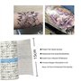 Bandage adhésif imperméable et anti-bactérien pour tatouage - 2 m x 15 cm - étanche à l'eau du ruban adhésif rouleau extensible