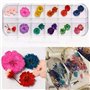 Fleur Séchée pour Ongles 3 boîtes 36 Couleurs Nail Applique 72 pièces 3D Nail Art Fournitures Applique pour Bricolage Nail Art d