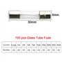 FULARR® 125Pcs 6X30mm Professionnel Voiture Fast-Souffler Verre Tube Fusible Kit: 100Pcs Verre Tube Fusible + 20Pcs Fusible Sièg