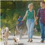 Laisse pour Chien Double Chien